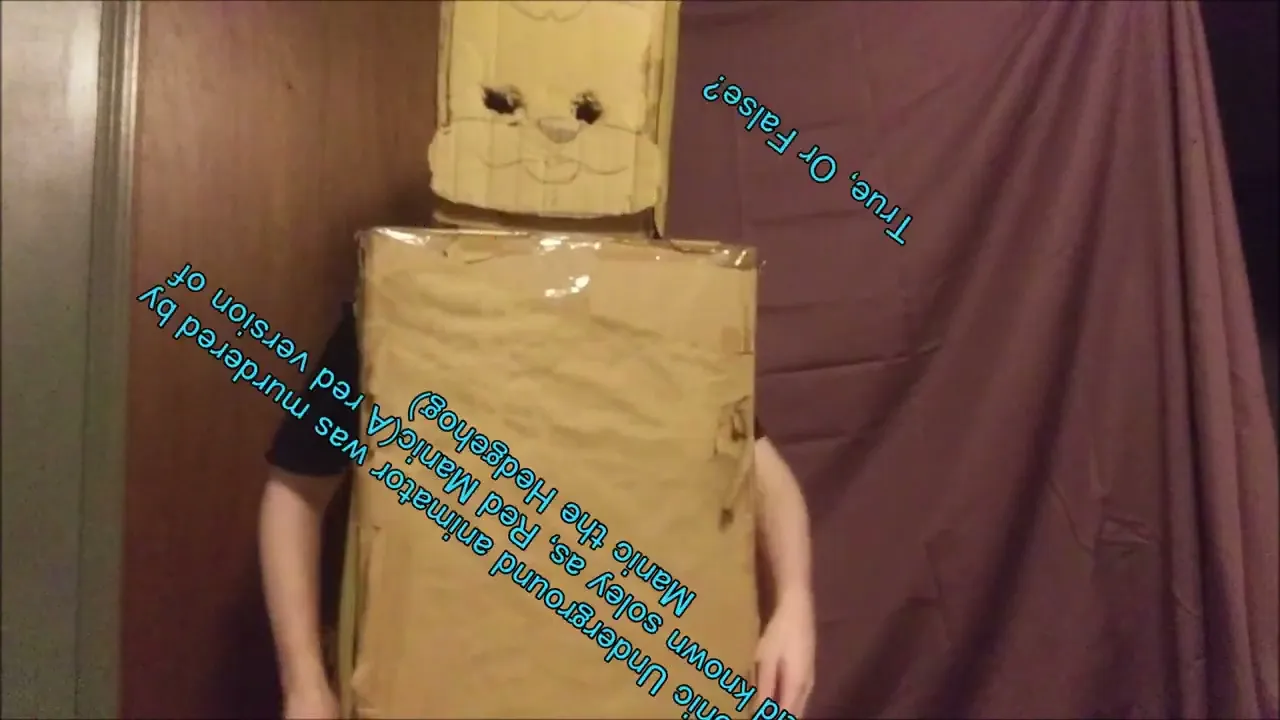 Debunking(and Confirming) Sonic Underground Myths